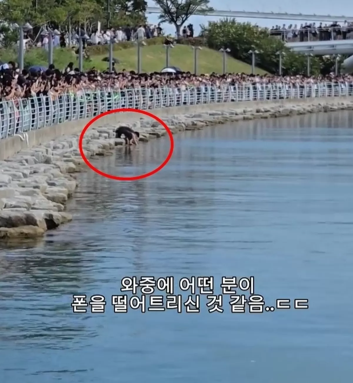 온라인 커뮤니티