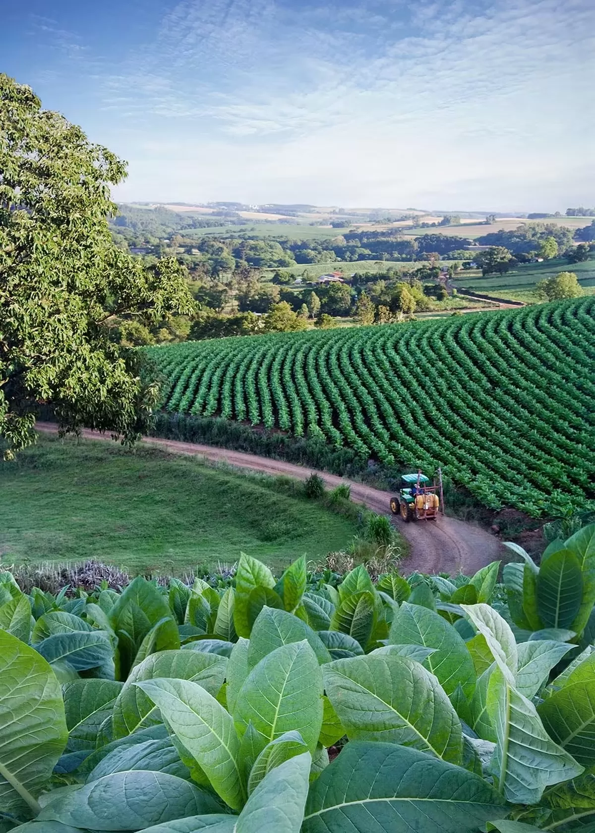 Assessing human rights risks in Brazil | PMI - Philip Morris International