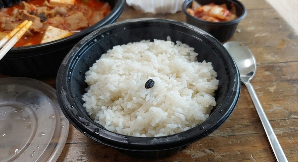 “쥐똥이다” vs “김치 양념 청각”...배달 흰밥서 나온 ‘검은 알갱이’ 정체는