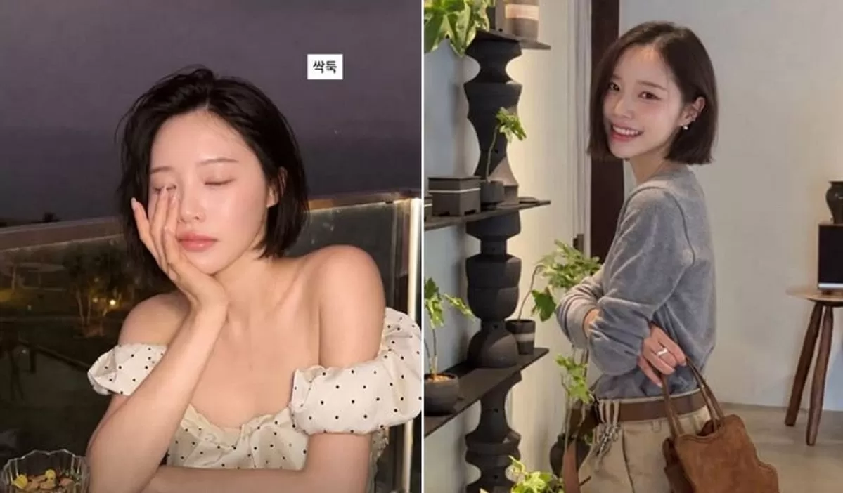 인사이트
