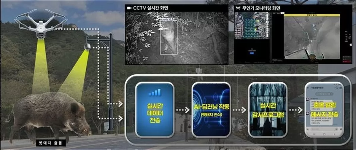 '도심 출몰' 멧돼지, 이제 AI가 실시간 추적한다... 신기술 도입