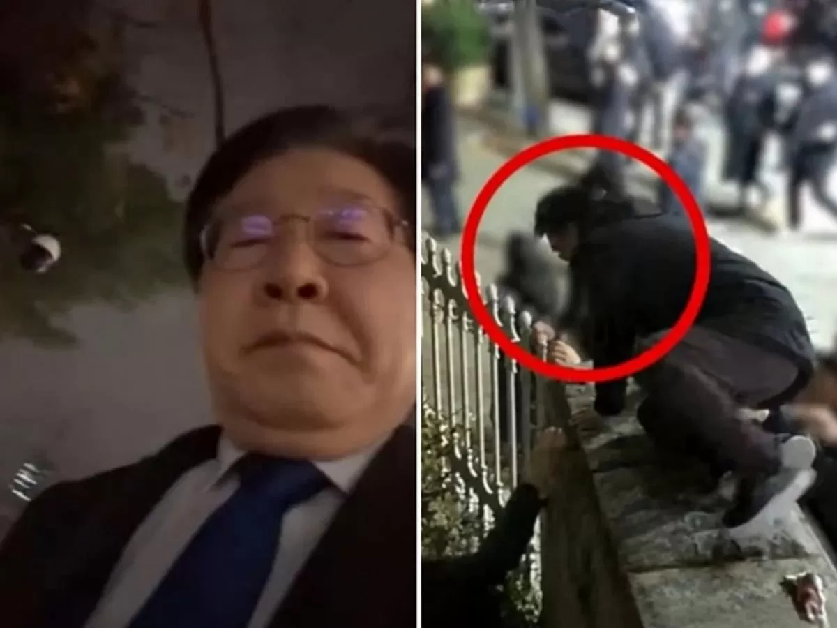 인사이트