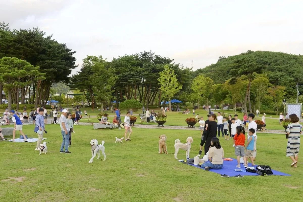 반려동물과 함께하면 '여행비 반값'...'펫 관광객' 잡기 나선 도시들
