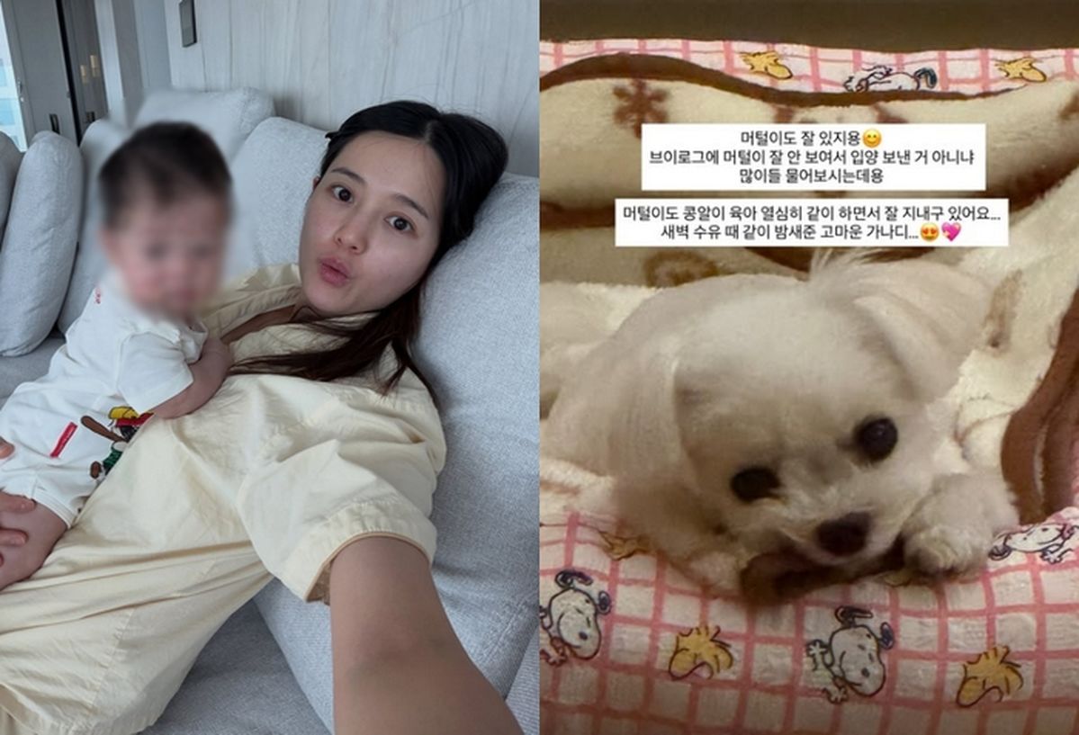 남보라, 출산 후 불거진 반려견 파양설에 직접 입 열었다
