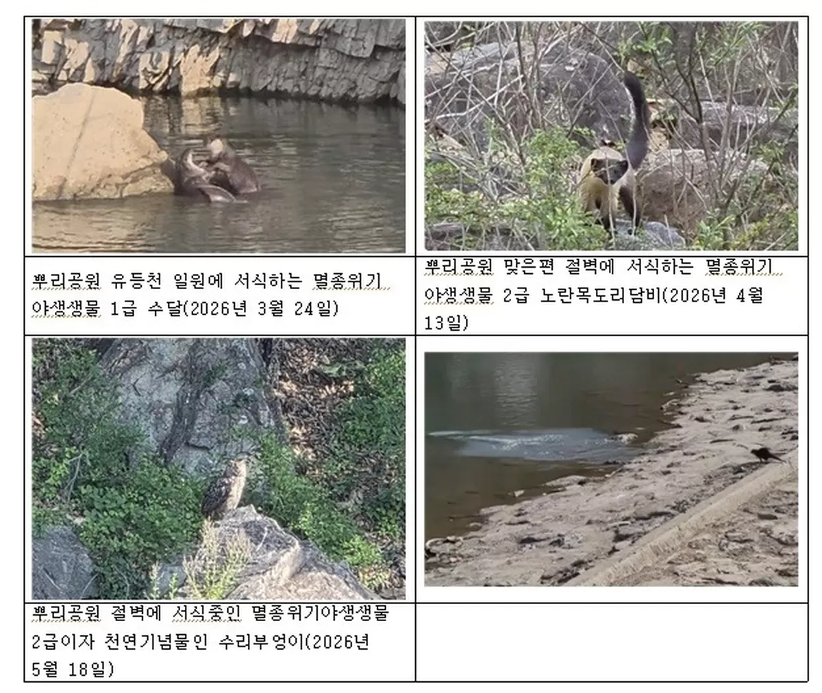 “불꽃놀이 취소합니다” 축제 앞두고 내려진 결정...멸종위기종 보호 나섰다