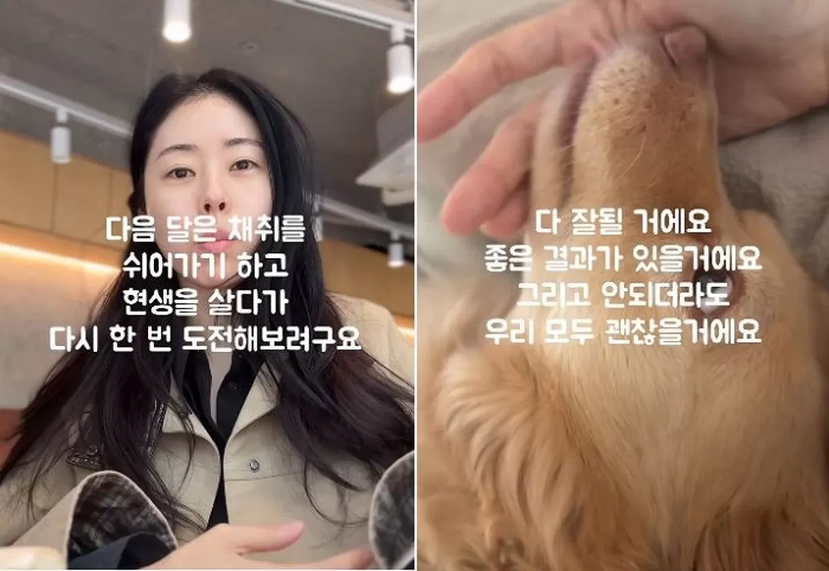 인사이트