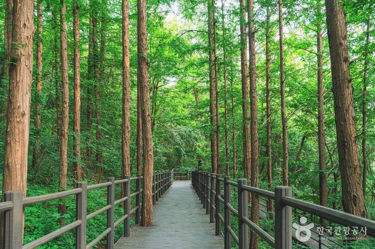 안산 자락길 / 한국관광공사