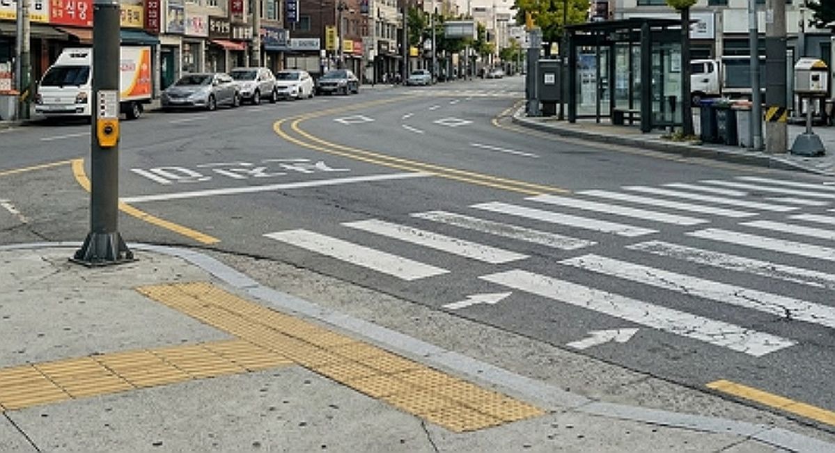 횡단보도서 50대 모친 위에 올라타 마구잡이로 폭행한 20대 아들