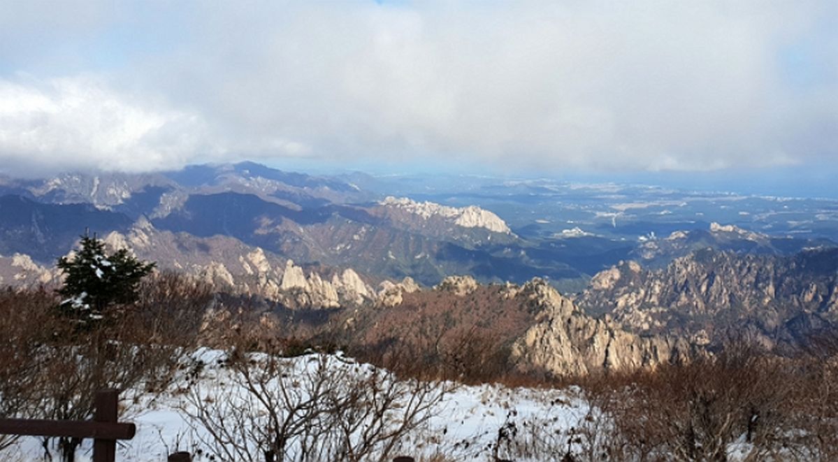 설악산 울산바위 인근에 16층 아파트 추진 소식에 속초 곳곳에 걸린 현수막