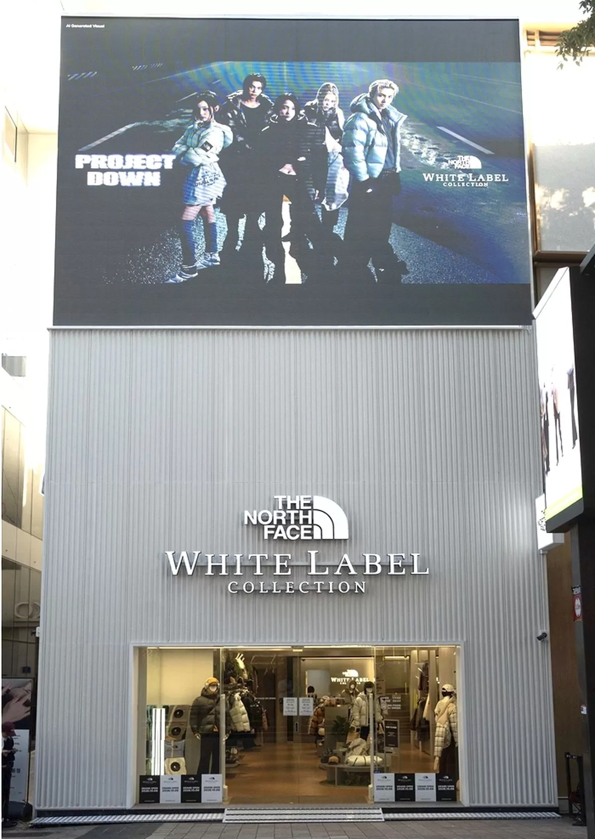 인사이트