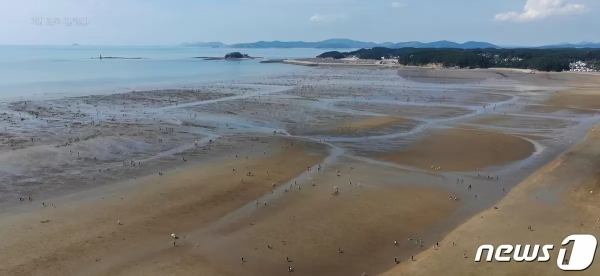 본문 이미지 - 충남 태안 몽산포 해변 일대(태안해경 제공) /뉴스1