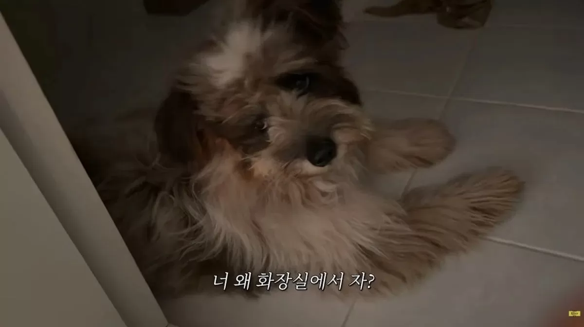 사진=김나영 유튜브
