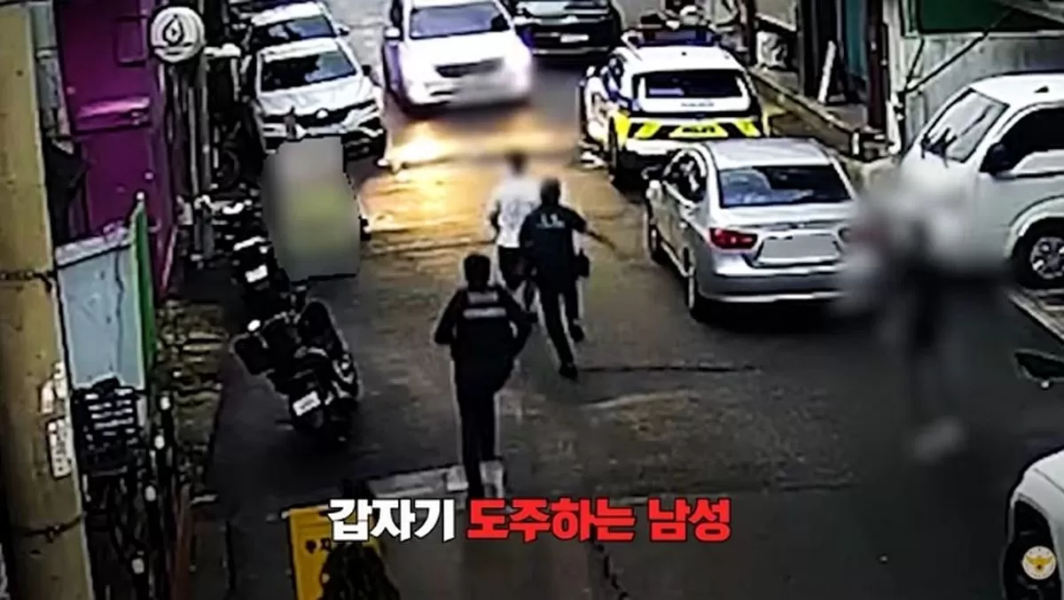 인사이트