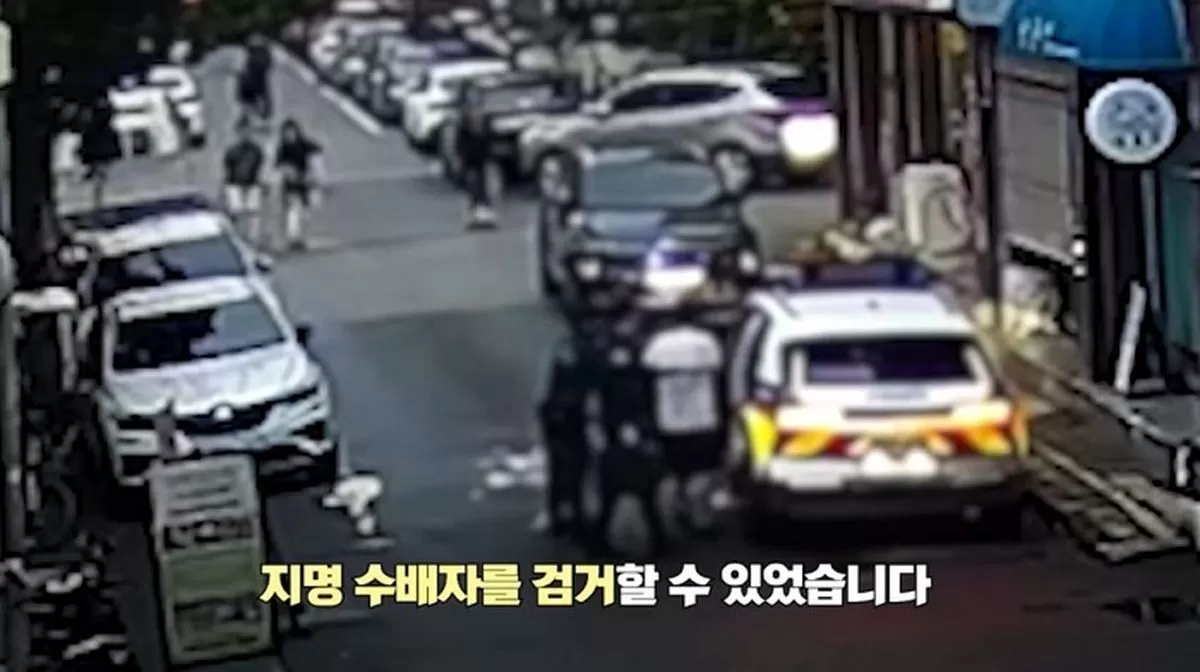 인사이트