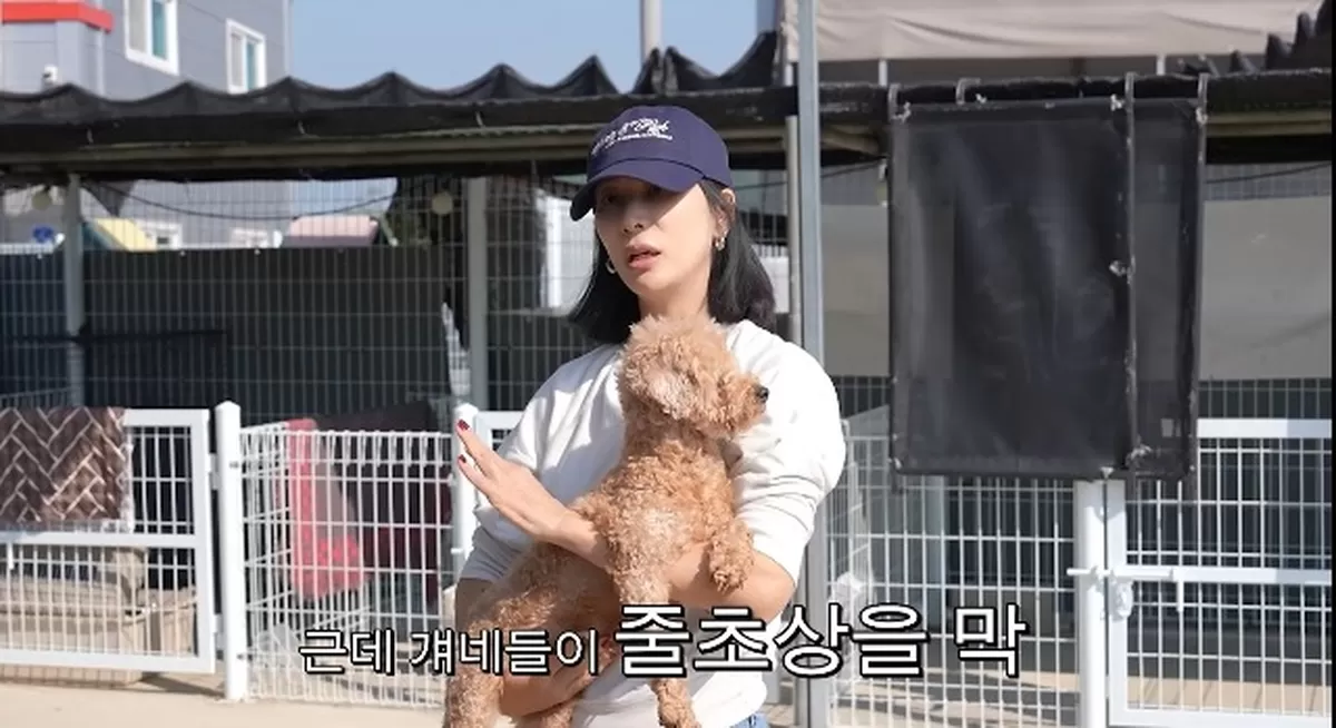 배우 고소영이 반려견 다섯 마리를 비슷한 시기에 떠나보내 한동안 강아지를 키우지 못했던 사연을 털어놓은 가운데, 유기견 130여 마리를 돌보는 보호소에 사료 1톤을 기증했다....