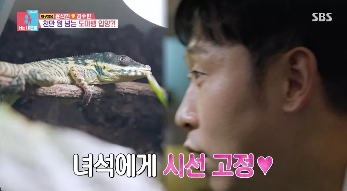 기존 이미지