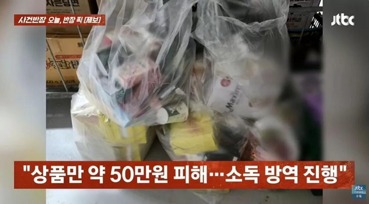 인사이트