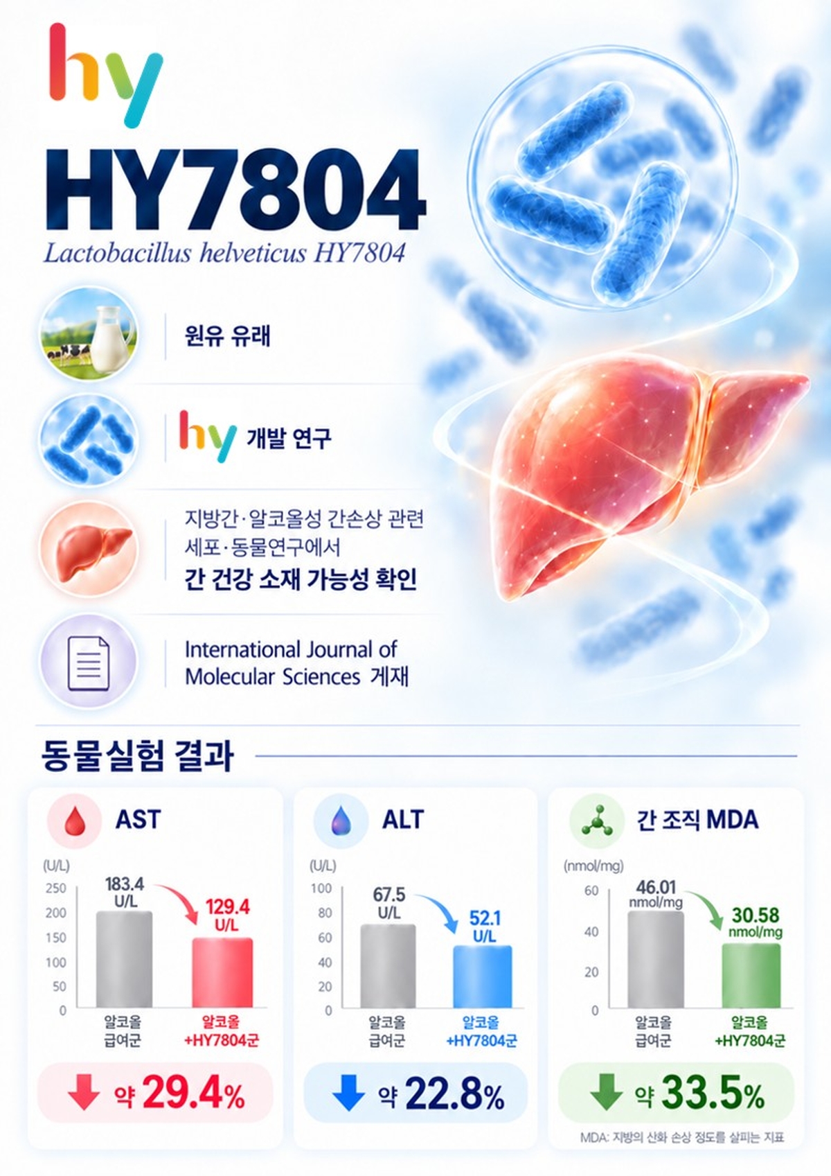 [첨부사진1]hy, 프로바이오틱스 ‘HY7804’ 알코올성 간손상 연구 국제학술지 게재.jpg
