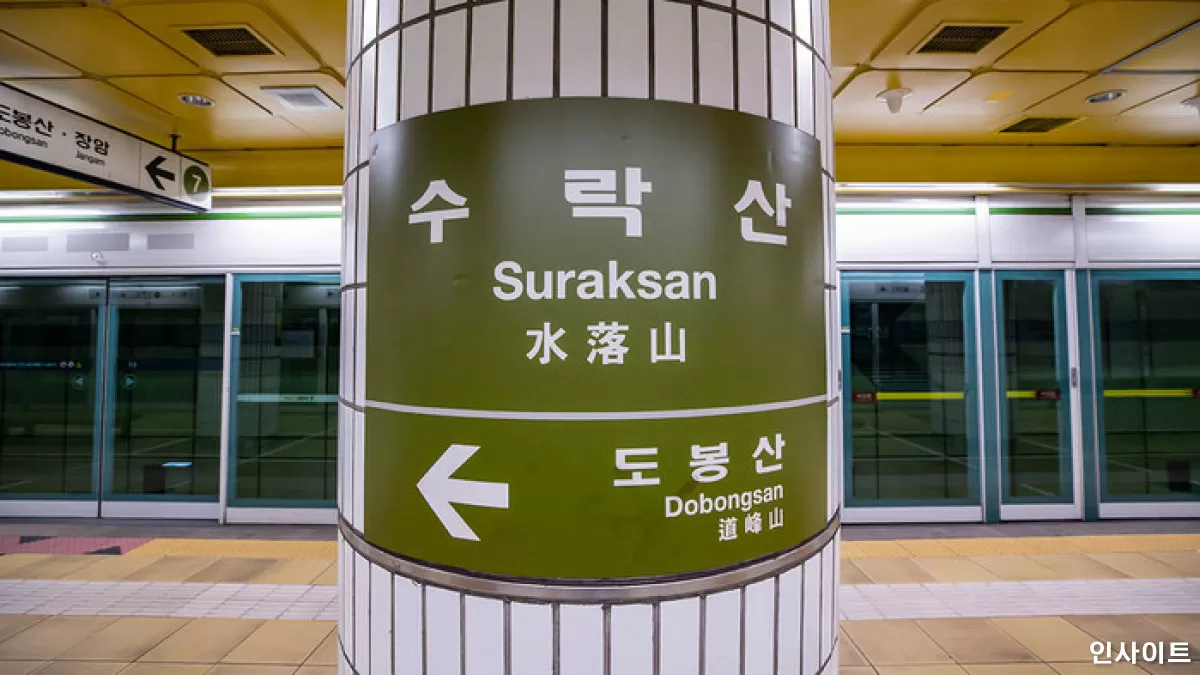 인사이트