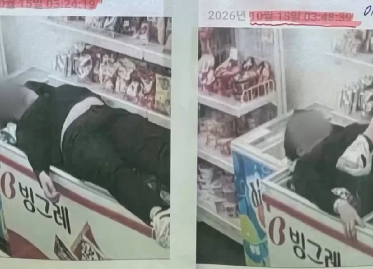 인사이트