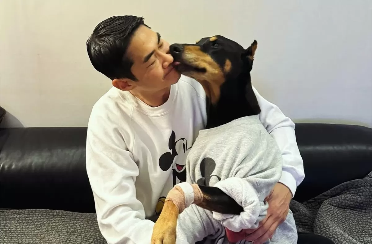기존 이미지