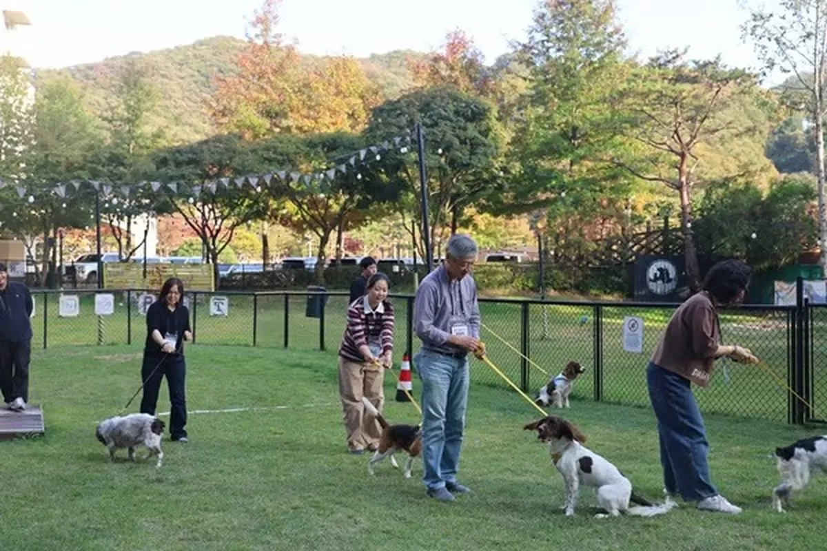 “국경 지킨 영웅들, 이제는 반려견으로”... 은퇴 탐지견, 행복한 제2견생 시작