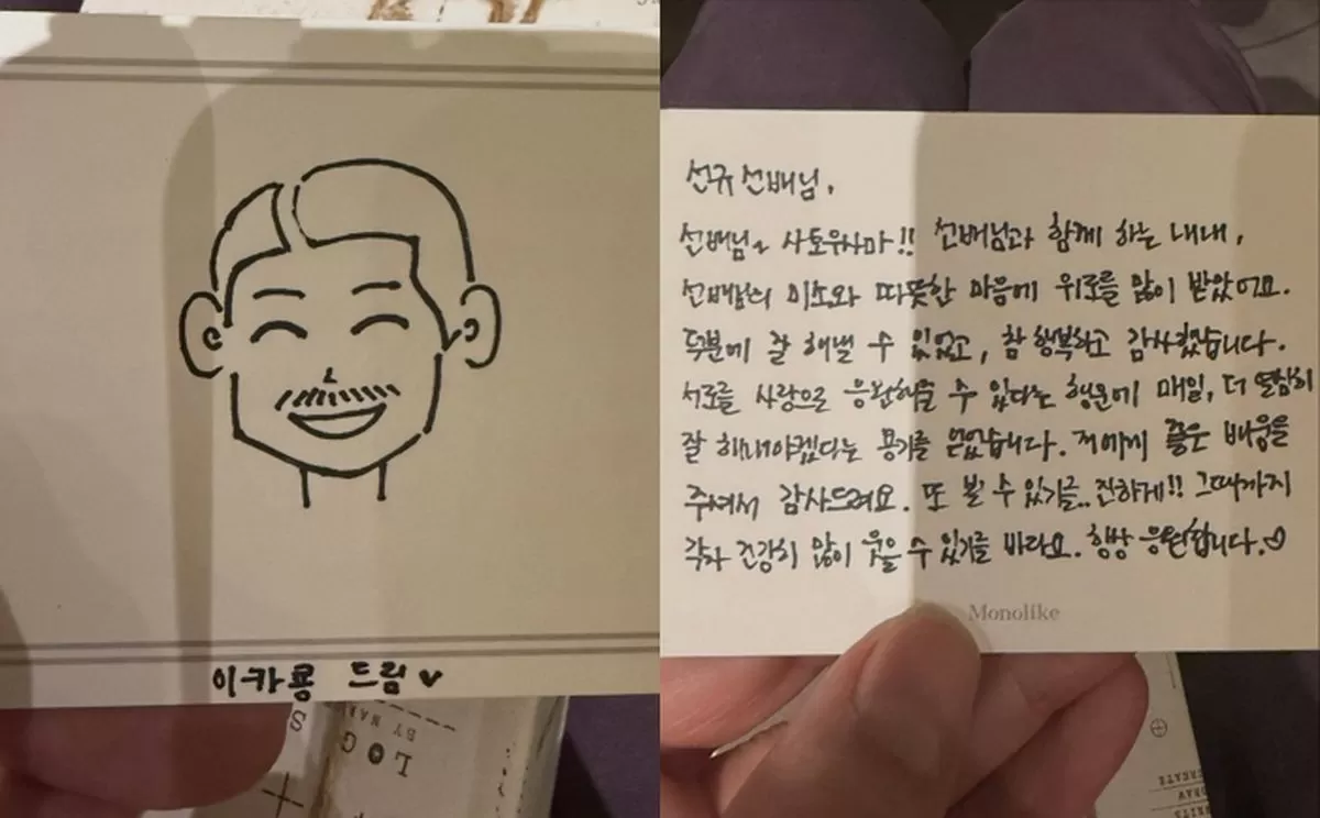 인사이트