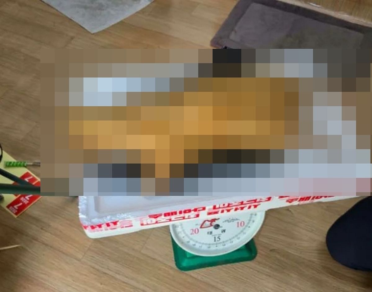 국내 베트남인 커뮤니티에 올라온 ‘고양이 고기’ 판매 글