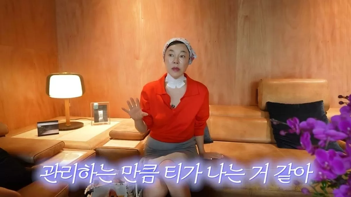 인사이트