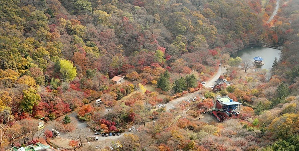 내장산 단풍철 새벽 6시 30분 입산이 답이다 (+얼리버드 루트)