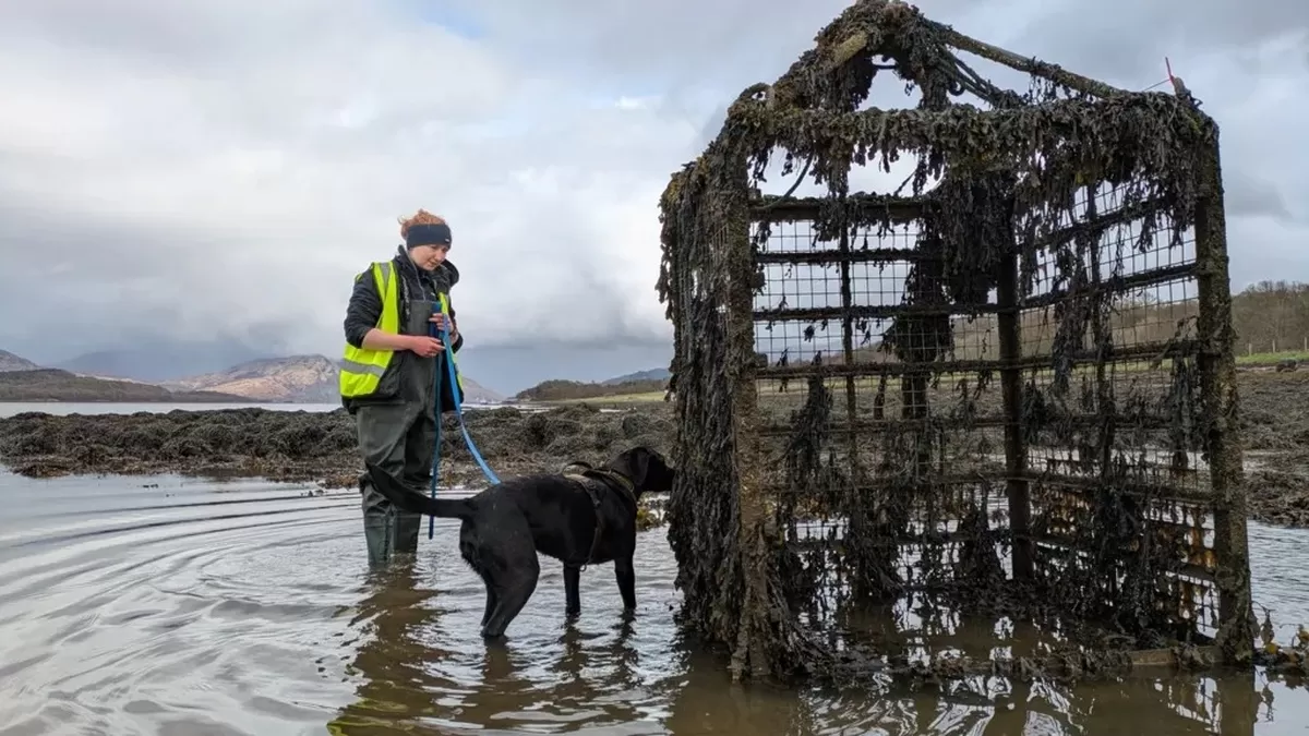 Dr Texa Sim A woman in waterproofs, wellies and a high viz vest stands ankle deep in shallow wate...