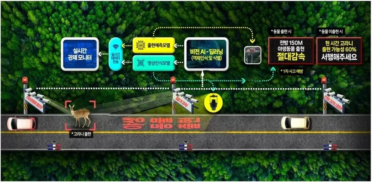 야생동물이 찻길에 접근하면 인공지능이 이를 감지해 운전자에 알리는 ‘동물 찻길 사고 예방 시스템’. 기후부 제공