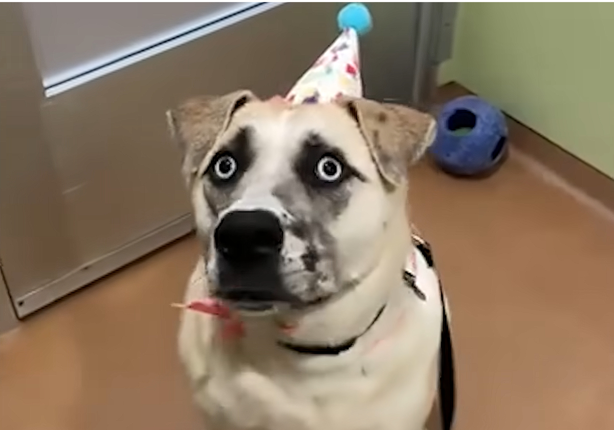 2026-10-28 10 51 05.png