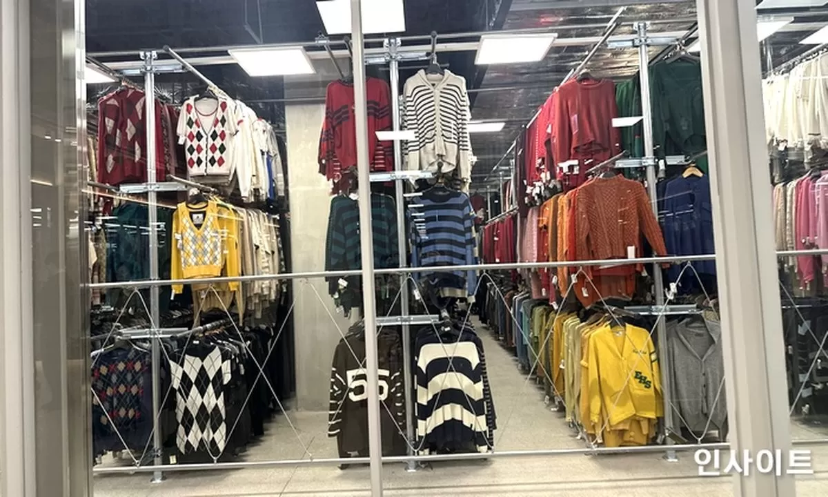 인사이트
